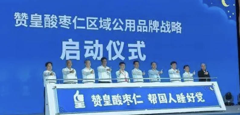 赞皇酸枣仁产业发展大会